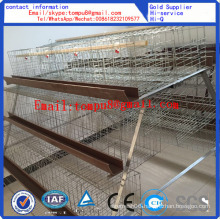 Egg Layer Chicken Cage